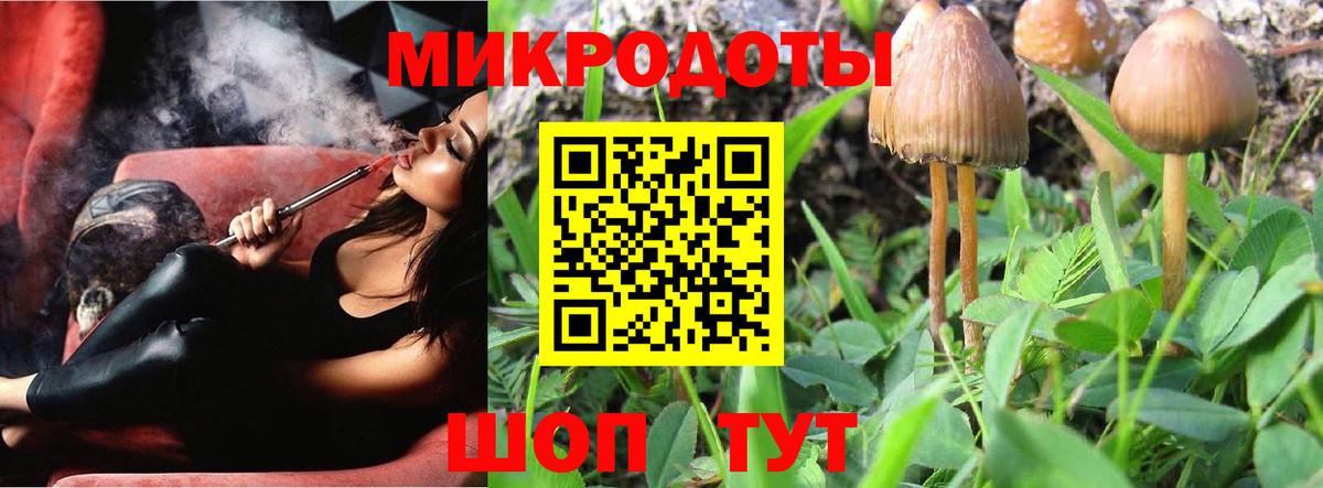 Галлюциногенные грибы ЛСД Вязники
