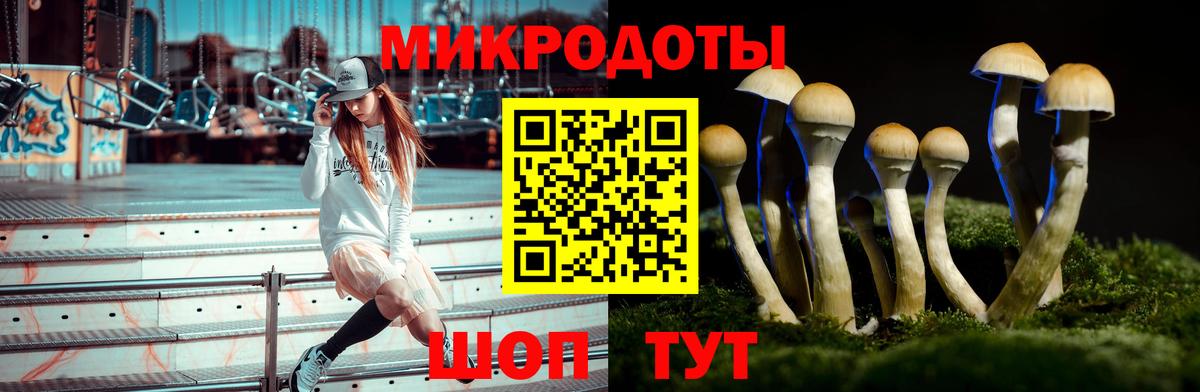 Галлюциногенные грибы мицелий  Псилоцибиновые грибы ЛСД  Вход с VPN  Вязники 