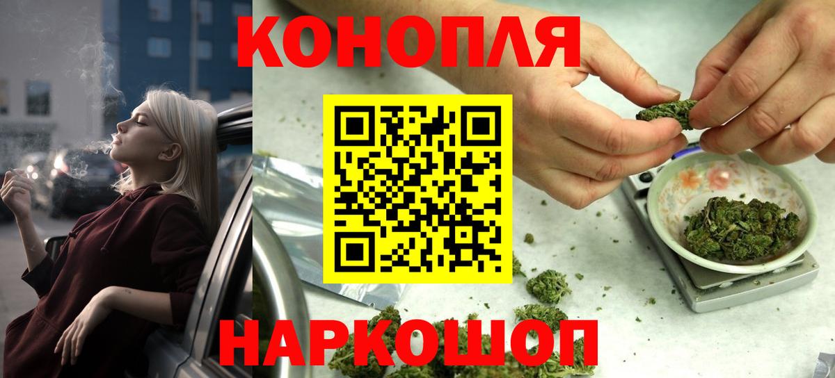 Бошки Шишки планчик Вязники